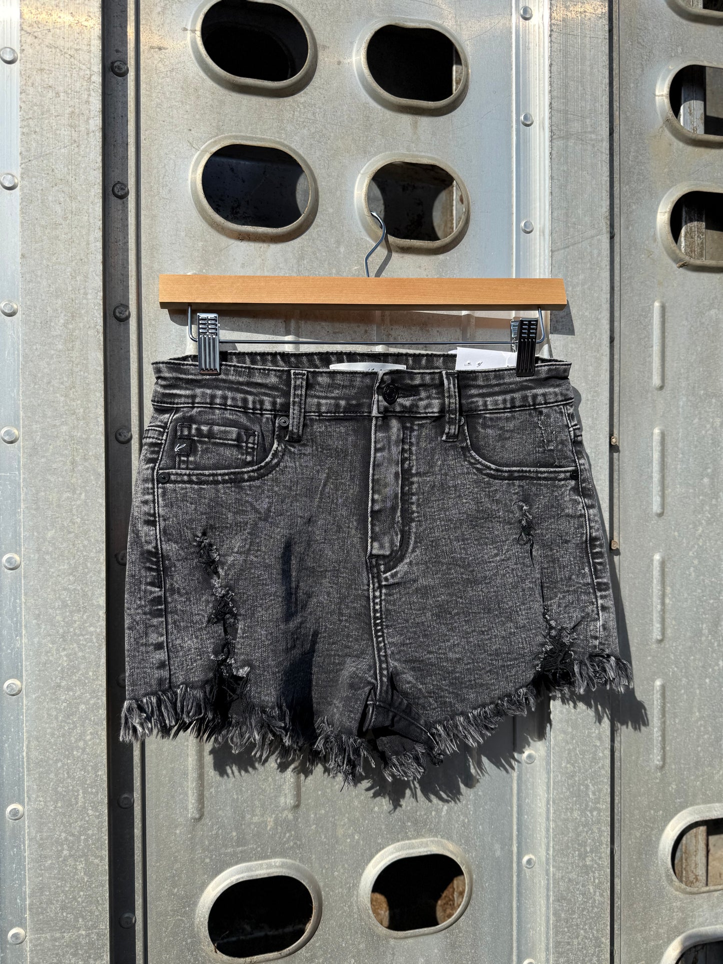 Midnight Mesa Shorts