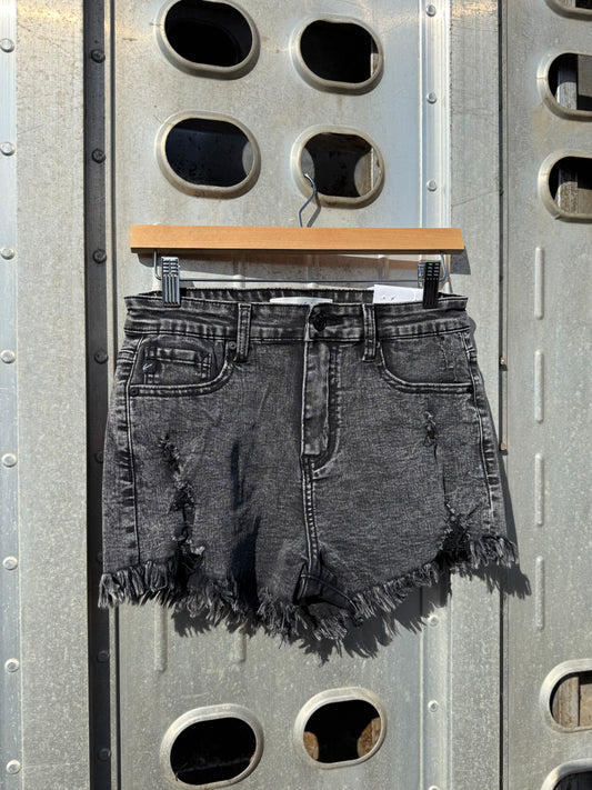 Midnight Mesa Shorts